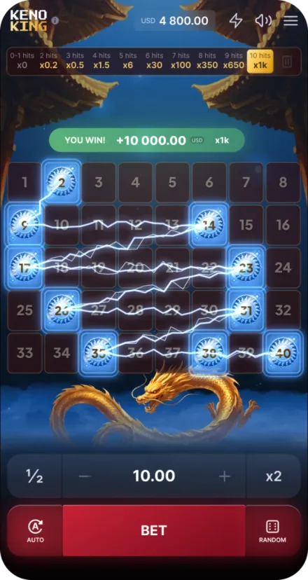 Maximum Multiplier